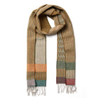 Multicolored striped scarf with fringes on a white background
