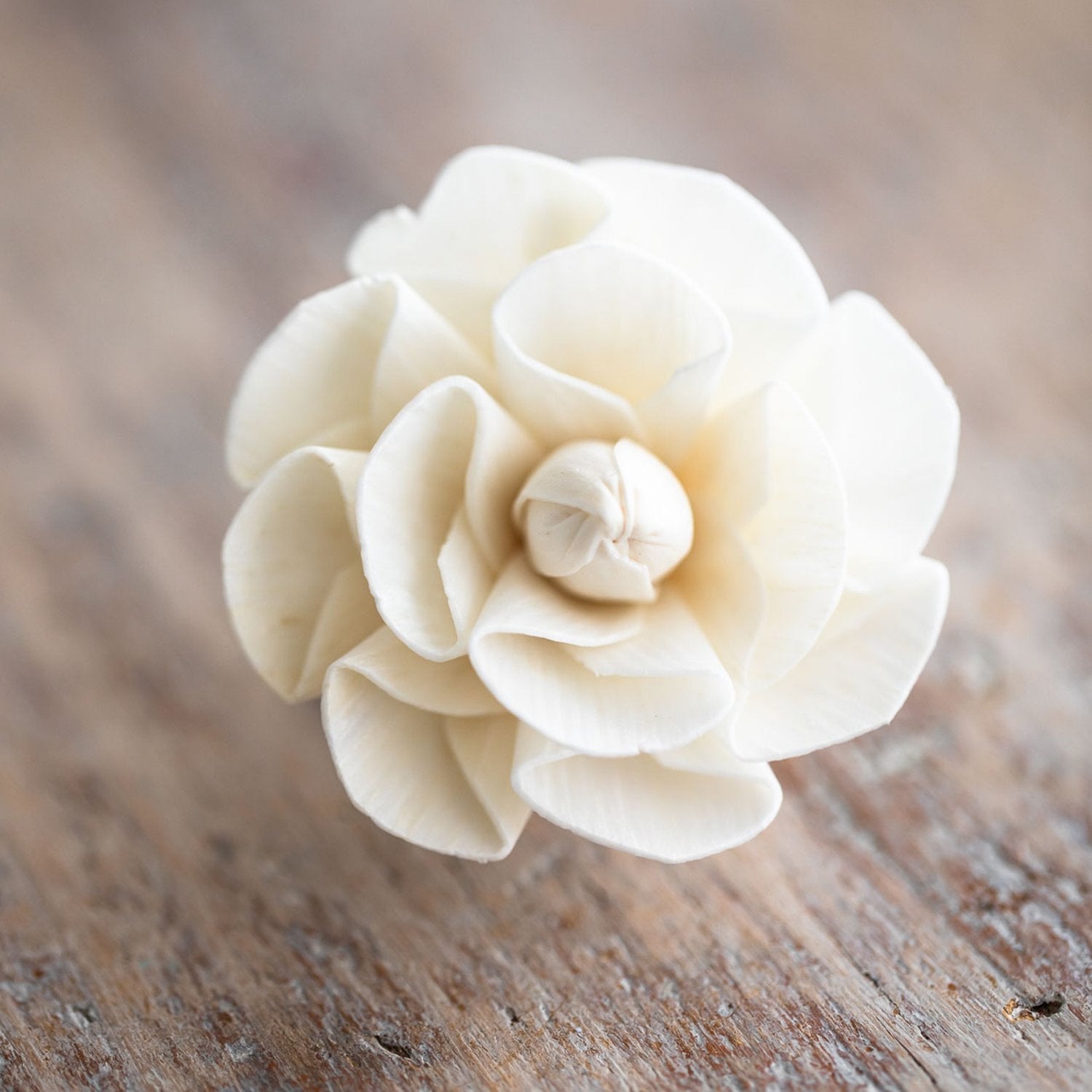 Tiny Dahlia Diffuser Flower