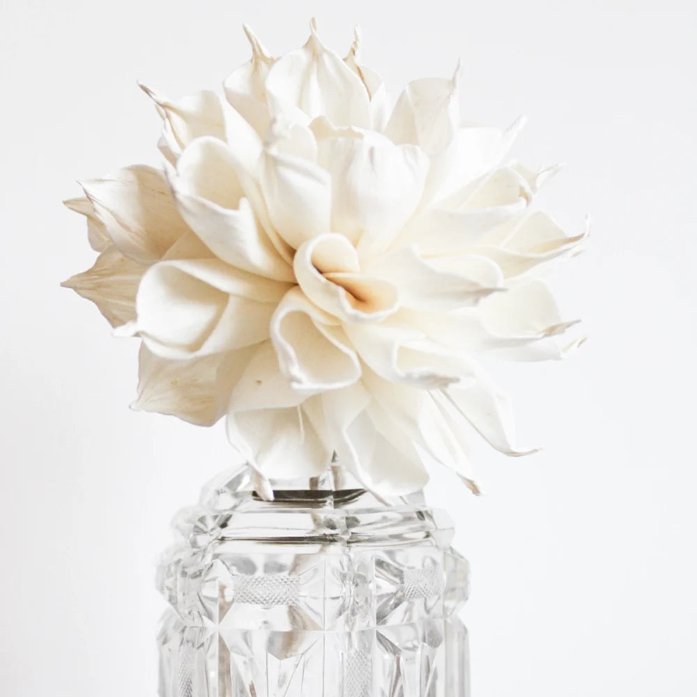 Large Dahlia Diffuser Flower