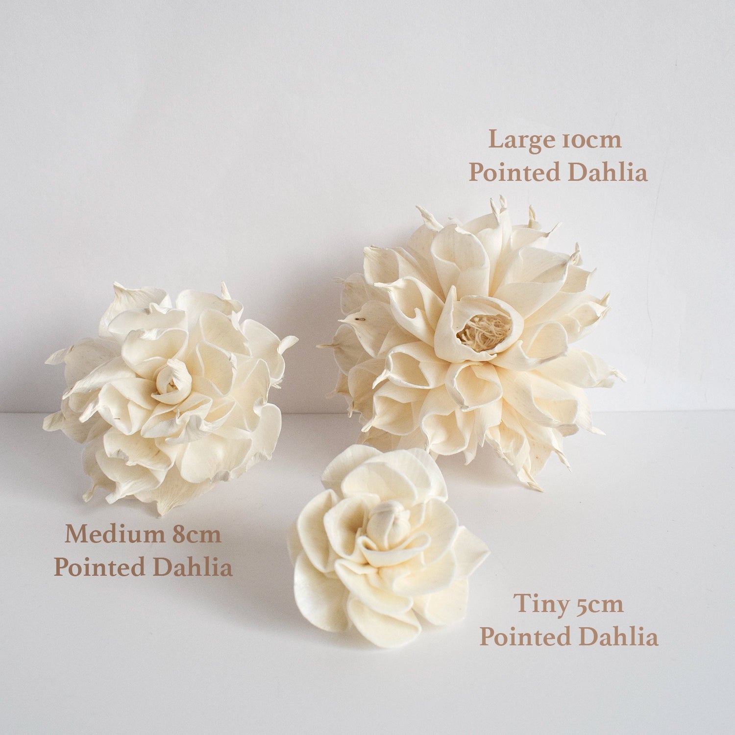 Tiny Dahlia Diffuser Flower