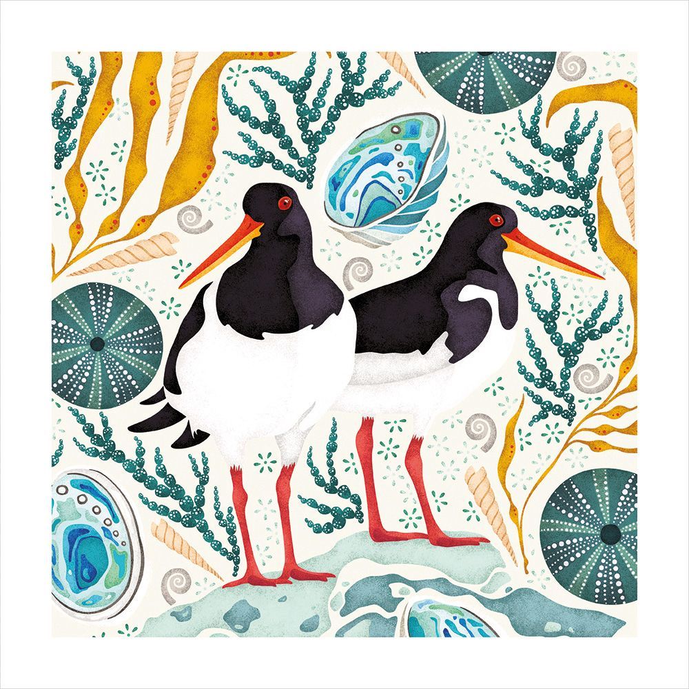 Illustration of two black and white birds with red beaks surrounded by marine plants on a white background.
