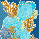 Cotton pareo or stole with coral pattern: Navy