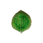 Green leaf on a white background