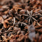 Close-up of star anise seeds with a blurred background