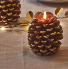 pine cone light