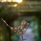 hanging robin light