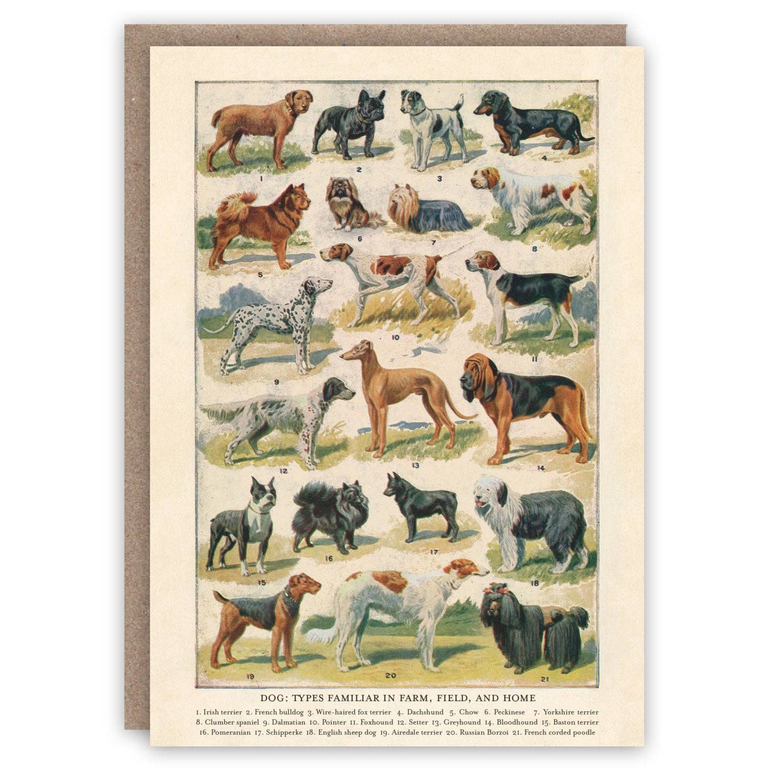 Vintage-style greeting card with illustrations of various dog breeds on a beige background.