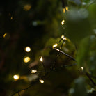 Wire Cluster Lights 7.5m