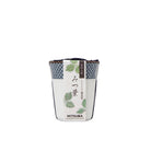 Mitsuba Japanese honeywort packaging on a white background