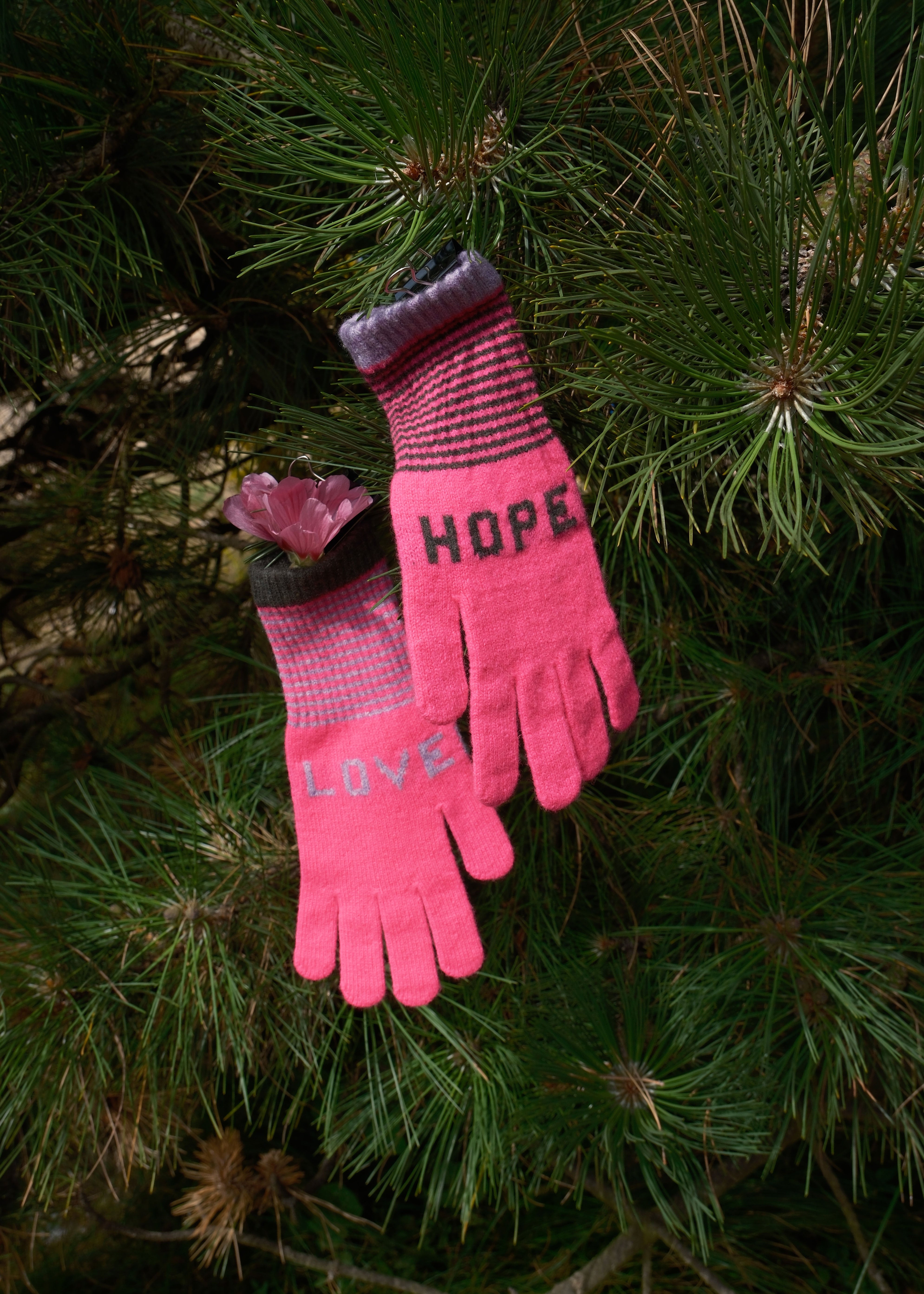 Pink gloves with 'HOPE' and 'LOVE' text on a pine branch