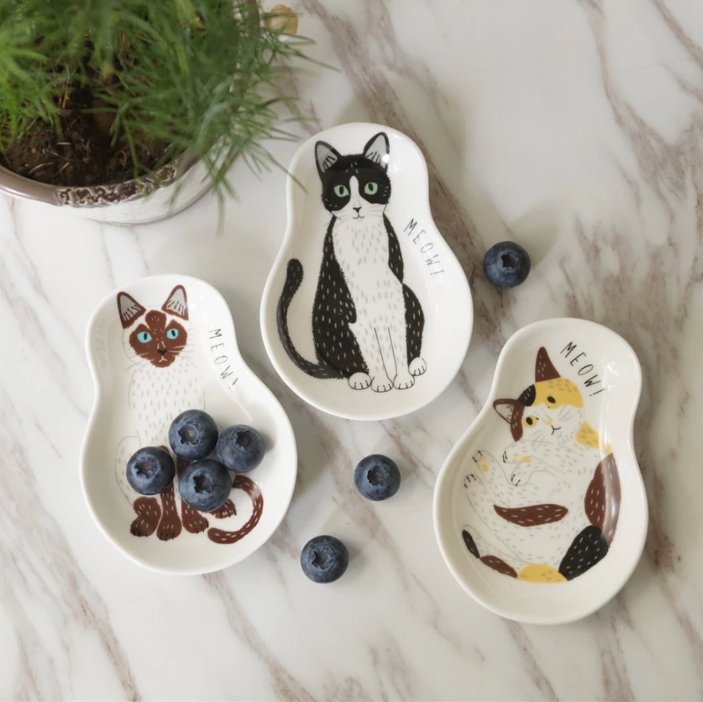 Cat Ceramic Seasoning Dish: Sitting Black Cat