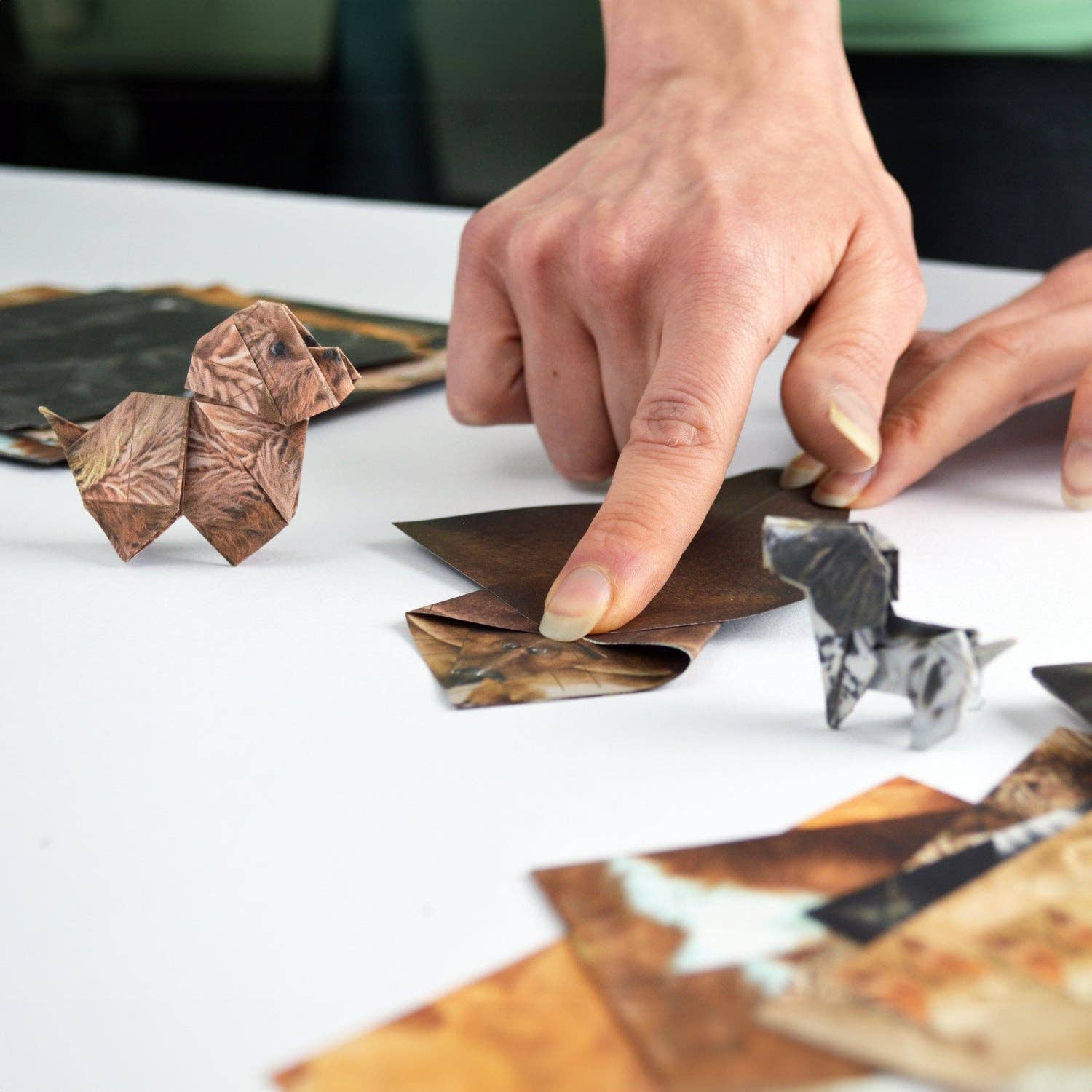 An image of paper pups being folded.