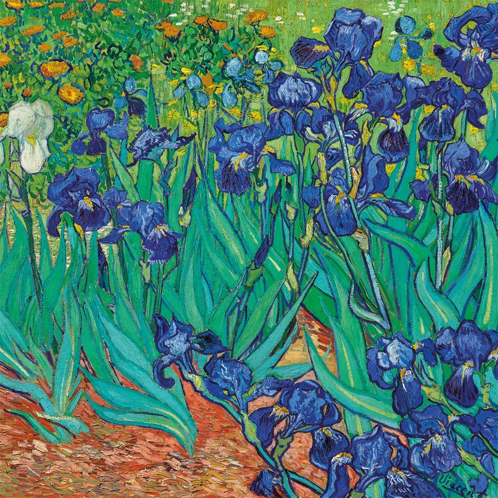 Pack of 8 Notecards - Vincent Van Gogh