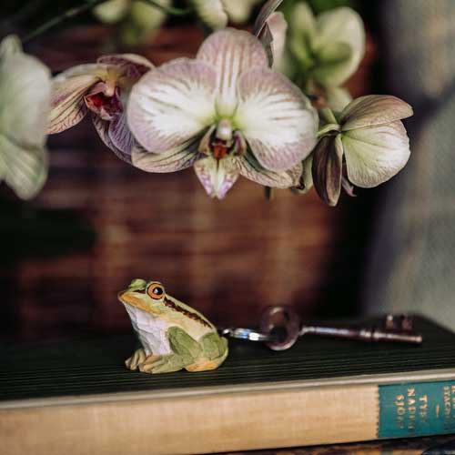 Frog figurine next to a key on a surface with flowers in the background