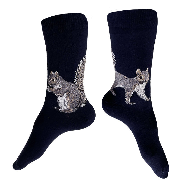 squirrel socks 